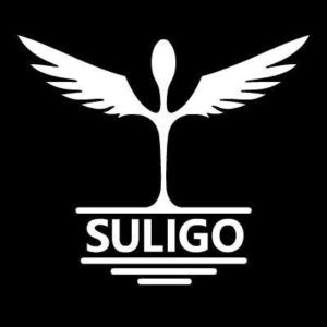 suligo-logo-300x300